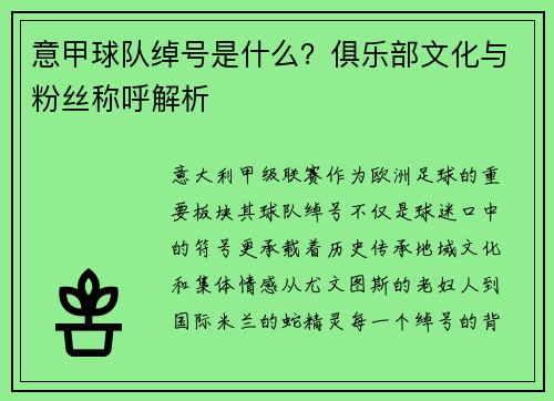 意甲球队绰号是什么？俱乐部文化与粉丝称呼解析