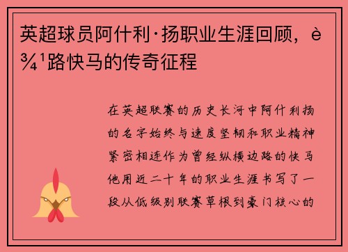 英超球员阿什利·扬职业生涯回顾，边路快马的传奇征程